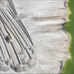 Los gobiernos de todo el mundo están descubriendo la economía nacional 1