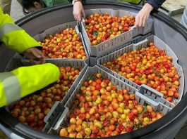 Ampliar la vida útil de los productos perecederos manteniendo el sabor y los nutrientes