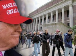 Fuga de Cerebros en EE.UU.: Reducción de Presupuestos para Universidades Impulsa a Japón a Ofrecer Incentivos Atractivos