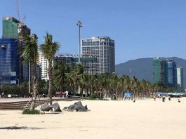 Vietnam Establece su Primera Zona de Libre Comercio en Danang: Un Llamado a México para Renovarse