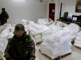 América Latina: Delincuencia Transnacional al Día